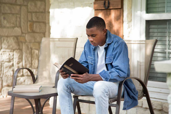 Young Adult